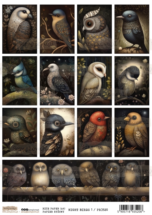 NIGhT BIRDS 1-1.jpg