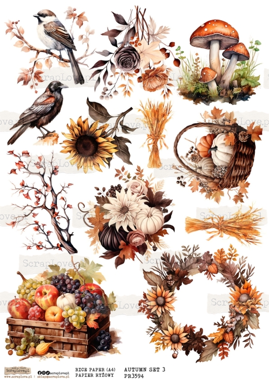 pr autumn set 3-1.jpg