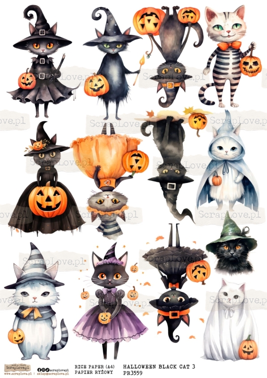 PR halloween BLACK CAT 3-1.jpg