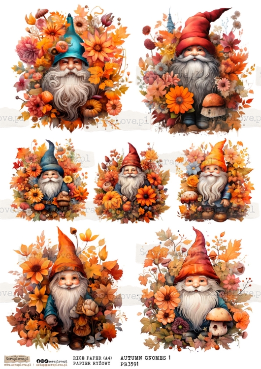 pr gnomes autumn 1-1.jpg