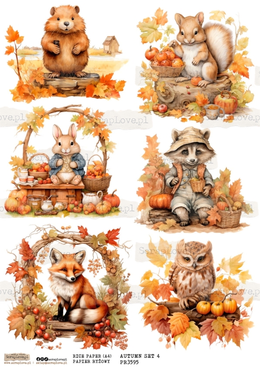 pr autumn set 4-1.jpg