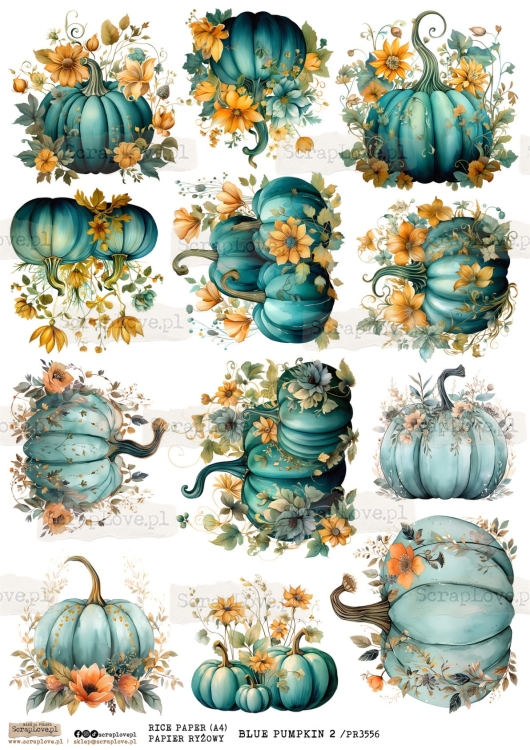 pr blue pumpkin 2-1.jpg