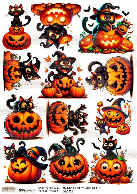 PR halloween BLACK CAT 2-1.jpg