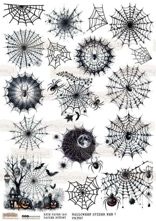 PR halloween SPIDER WEB 1-1.jpg