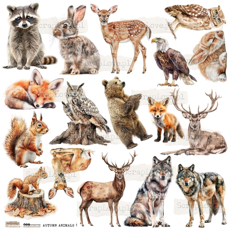 autumn animals 1p Duży.jpeg