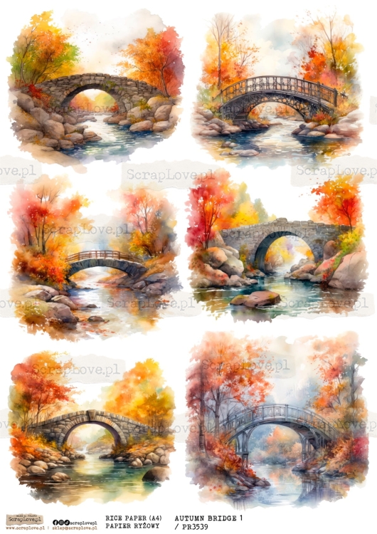 pr autumn bridge 1-1.jpg