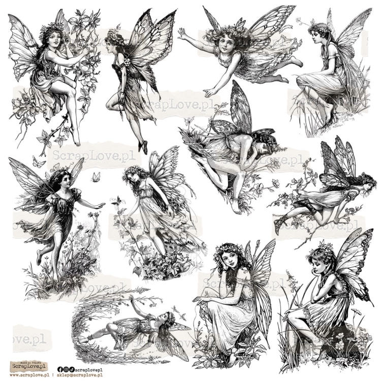 black  fairy p Duży.jpeg