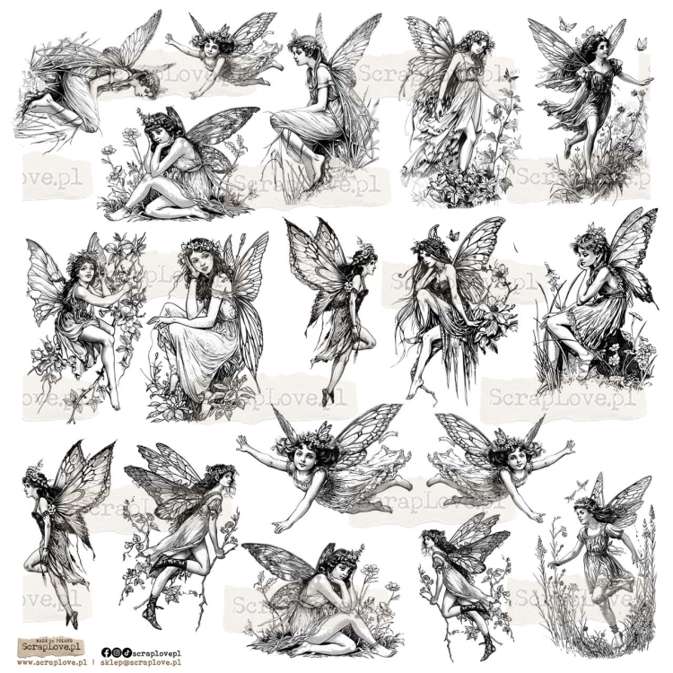 black  fairy small v Duży.jpeg