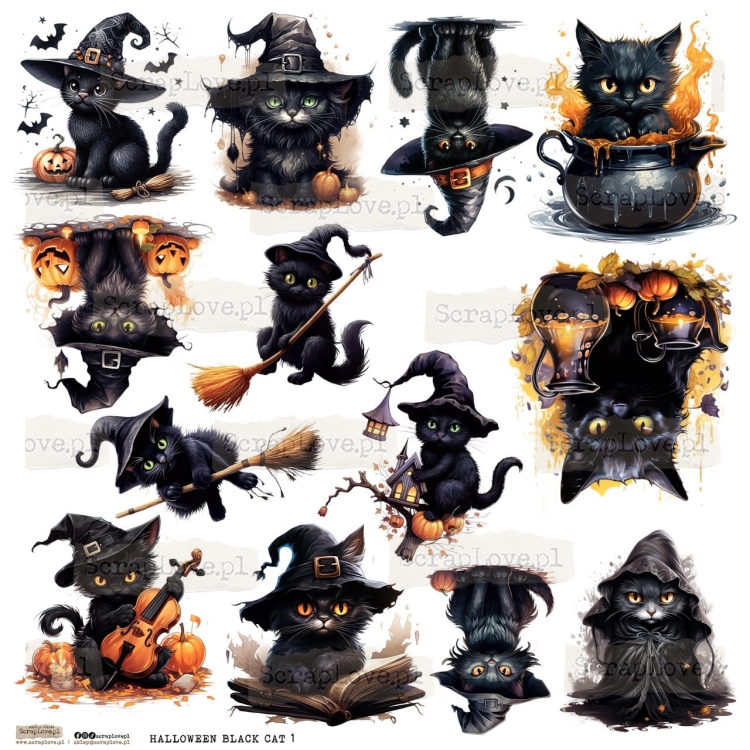 halloween black cat 1p Duży.jpeg