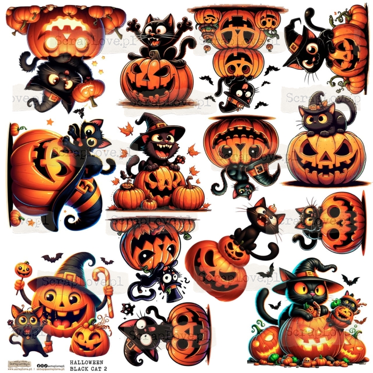 halloween black cat 2p Duży.jpeg
