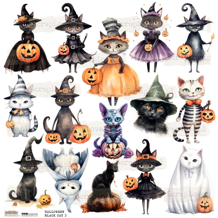 halloween black cat 3p Duży.jpeg