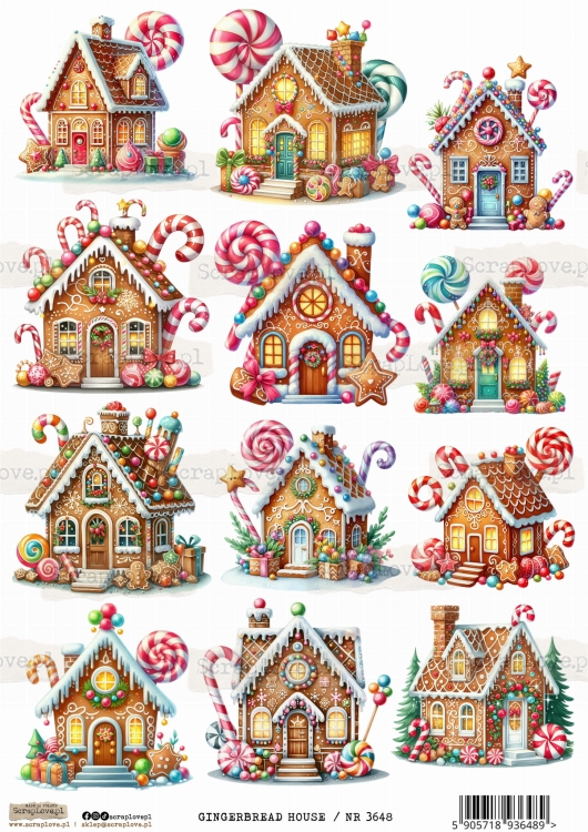 GINGERBREAD HOUSE _ NR 3648.jpeg