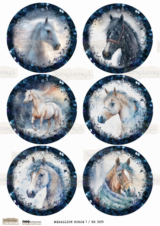 medallion horse 1 _ NR 3655.jpeg