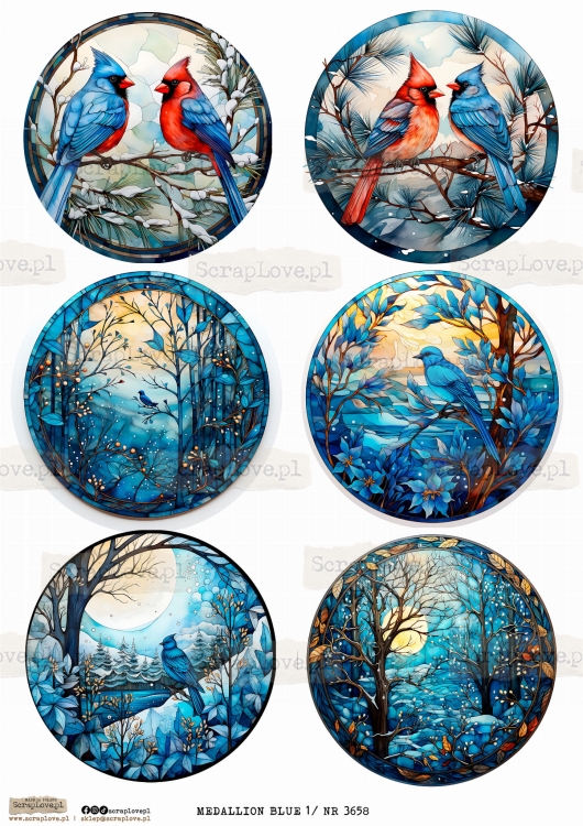 medallion blue 1 _ NR 3658.jpeg