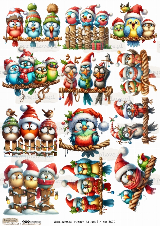 CHRISTMAS FUNNY BIRDS 1 _ NR 3679.jpeg
