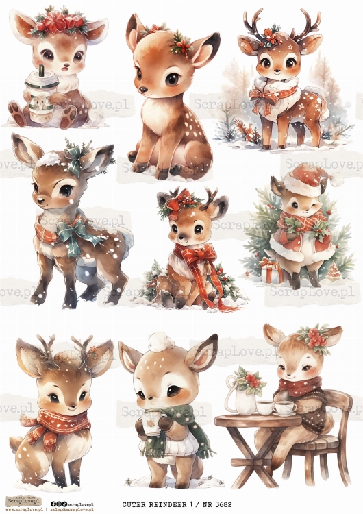CUTE REINDEER 1 _ NR 3682.jpeg