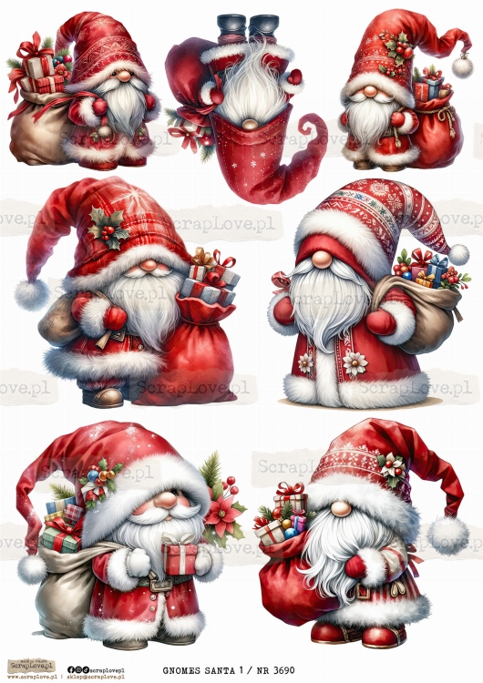 GNOMES SANTA 1 _ NR 3690.jpeg