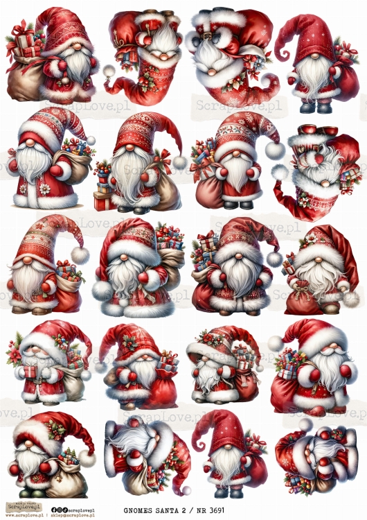 GNOMES SANTA 2 _ NR 3691.jpeg