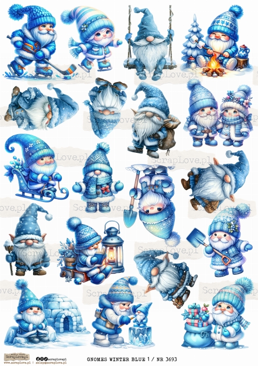 GNOMES WINTER BLUE 1 _ NR 3693.jpeg
