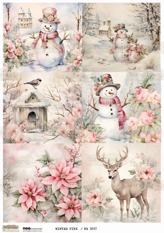 WINTER PINK  _ NR 3697.jpeg
