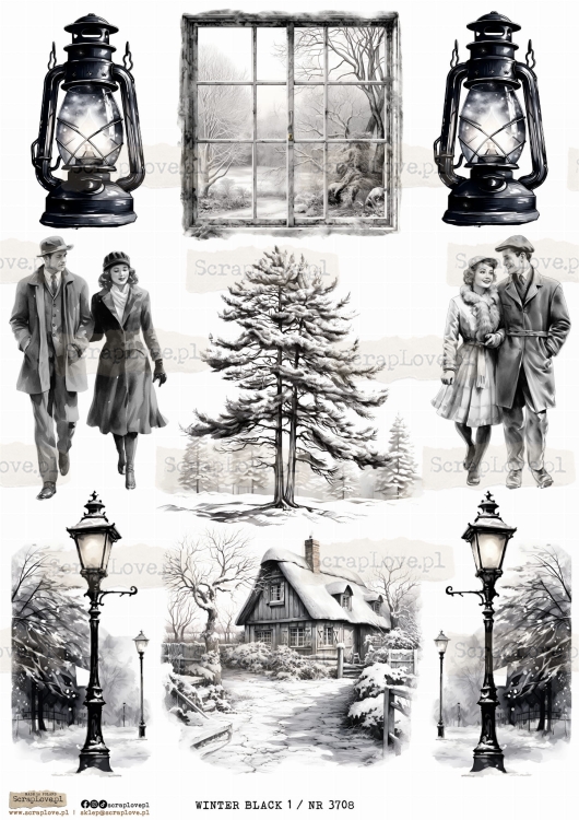 WINTER BLACK 1 _ NR 3708.jpeg