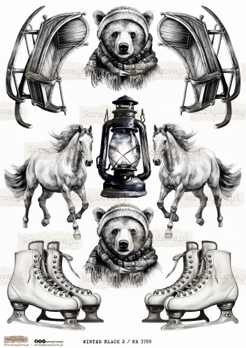 WINTER BLACK 2 _ NR 3709.jpeg