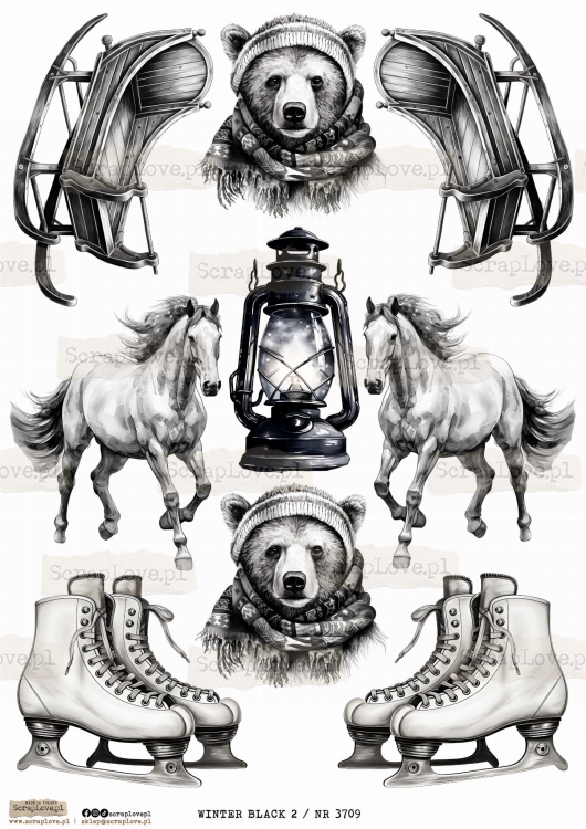 WINTER BLACK 2 _ NR 3709.jpeg