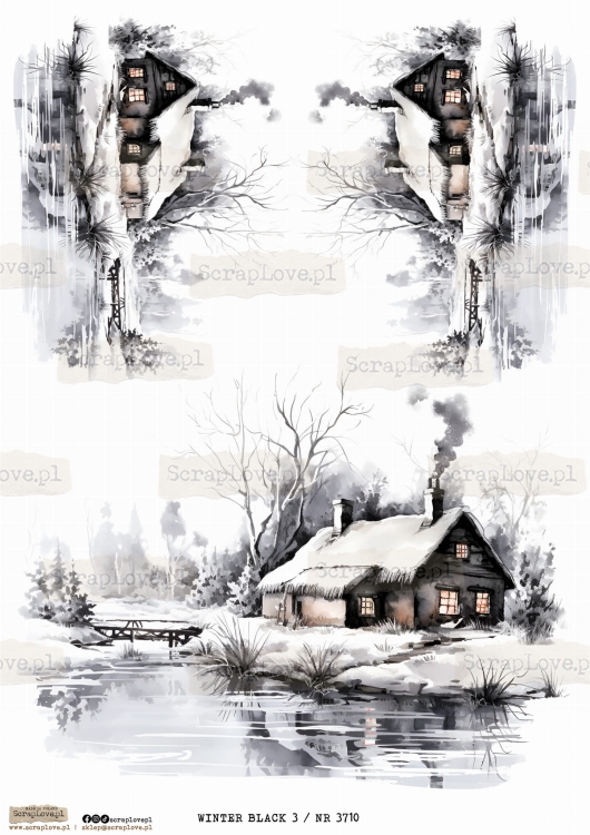 WINTER BLACK 3 _ NR 3710.jpeg