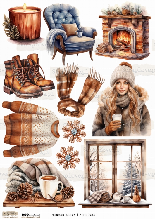 winter brown 1 _ nr 3723.jpeg