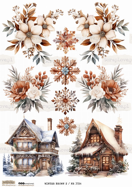 winter brown 2 _ nr 3724.jpeg
