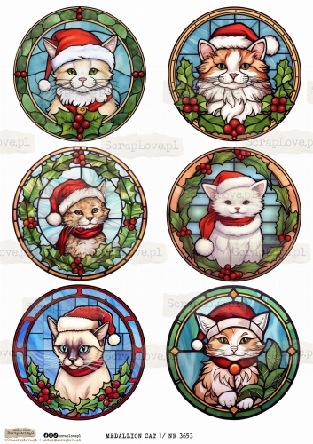 medallion cat 1 _ NR 3653.jpeg