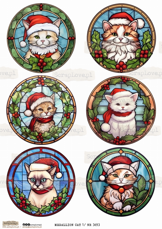 medallion cat 1 _ NR 3653.jpeg