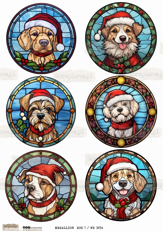 medallion  dog 1 _ NR 3654.jpeg