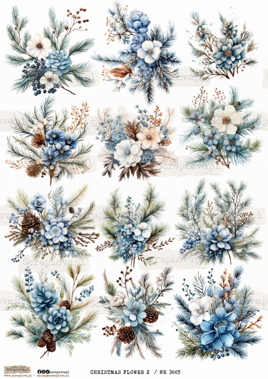 CHRISTMAS FLOWER 2  _ NR 3665 .jpeg