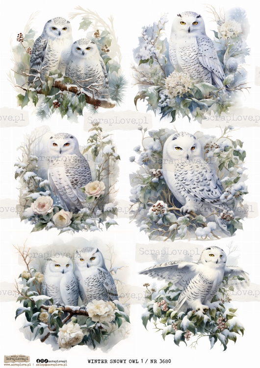 WINTER SNOWY OWL 1 _ NR 3680.jpeg