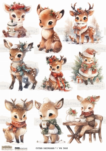 CUTE REINDEER 1 _ NR 3682.jpeg