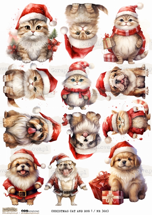 CHRISTMAS CAT AND DOG 1 _ NR 3683.jpeg