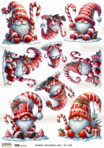 GNOMES CHRISTMAS RED _ NR 3692 .jpeg