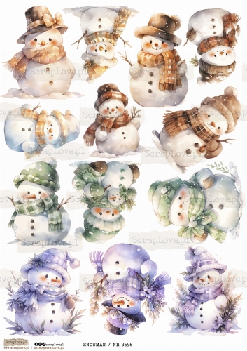SNOWMAN _ NR 3696.jpeg