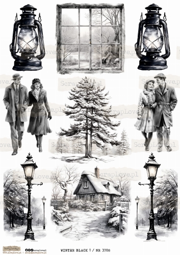 WINTER BLACK 1 _ NR 3708.jpeg
