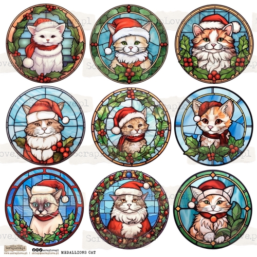 MEDALLION CAT 1.jpeg