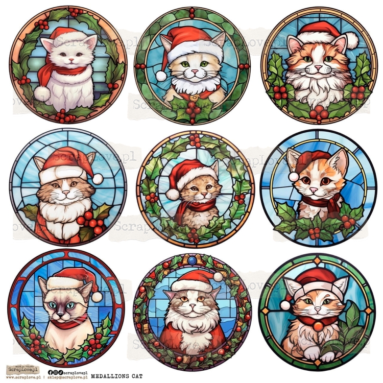 MEDALLION CAT 1.jpeg