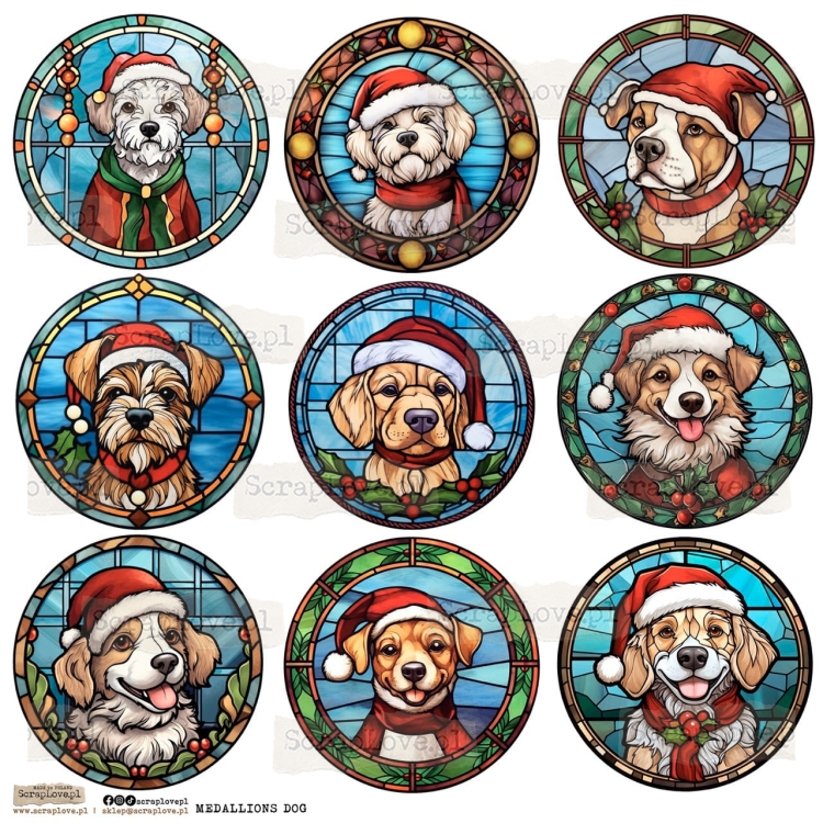 MEDALLION DOG 1.jpeg