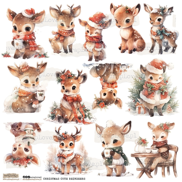 CHRISTMAS CUTE REINDEER.jpeg
