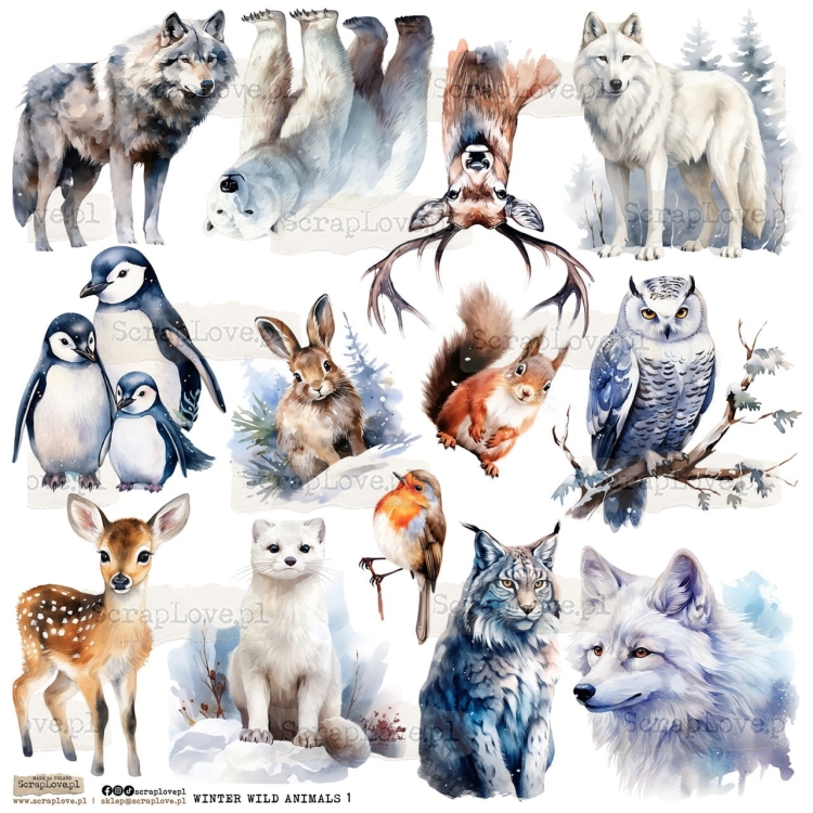 WINTER WILD ANIMALS.jpeg