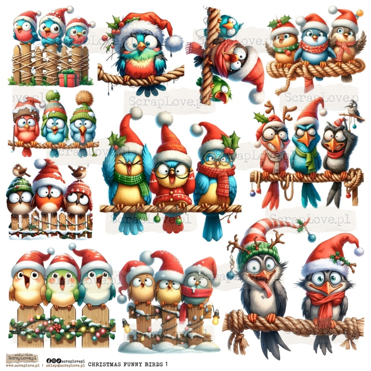 CHRISTMAS FUNNY BIRDS.jpeg