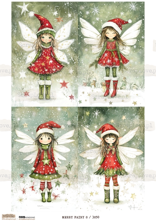 merry fairy 8 - 3850 -1.jpg
