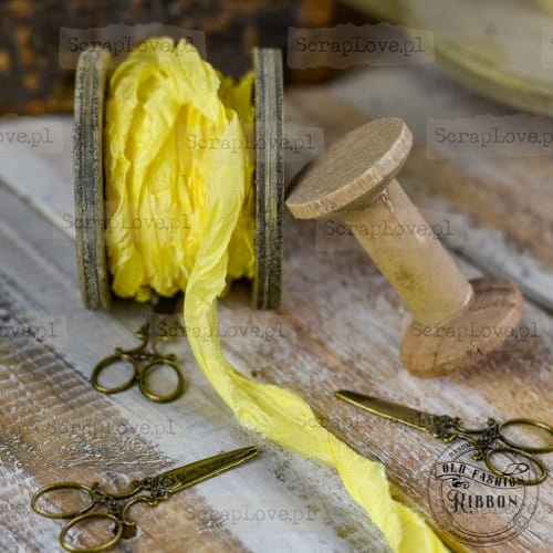 YELLOW 05.jpg
