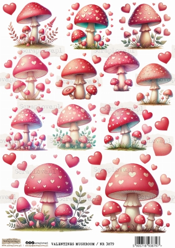 valentines mushroom : NR 3879.jpg