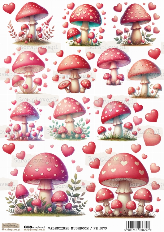 valentines mushroom : NR 3879.jpg